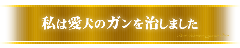 私は愛犬のガンを治しました