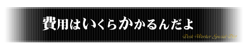 費用はいくらかかるんだよ