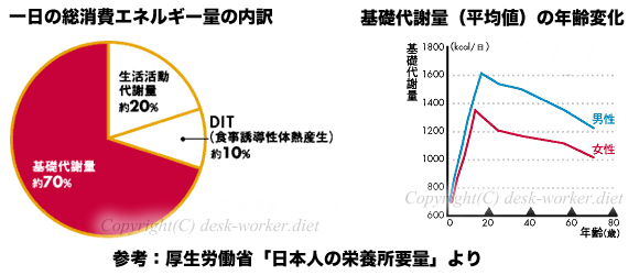 一日の総消費エネルギー量の内訳と基礎代謝量の年齢変化のグラフ