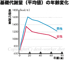 年齢・性別の基礎代謝量の変化グラフ